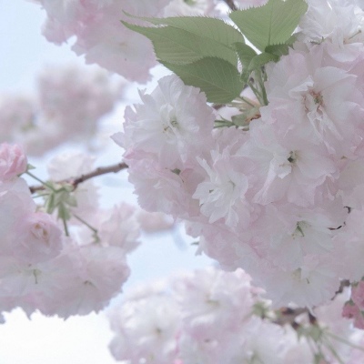 吉林FurryQQ群介绍